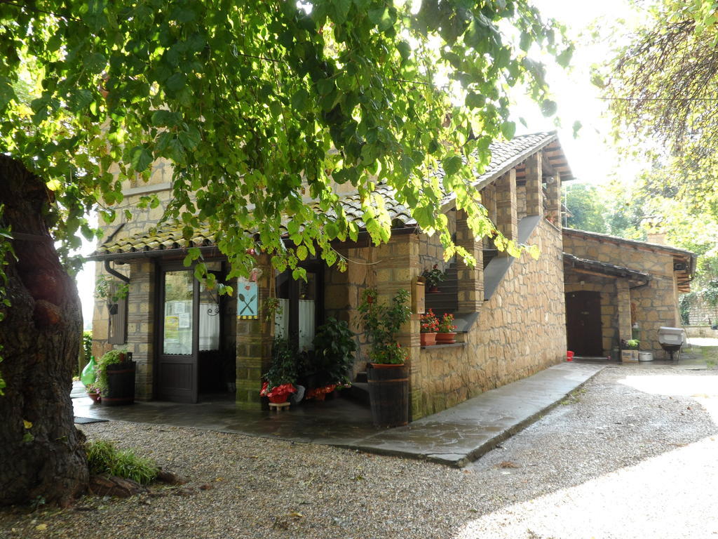 Mola Solis Civitella d'Agliano Ngoại thất bức ảnh